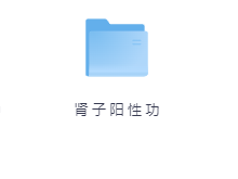 肾 子 阳 性 功-玖玖资源网